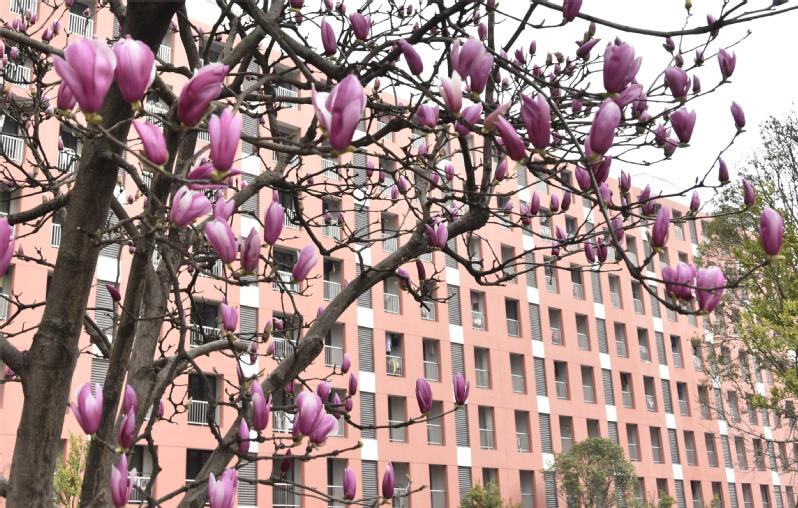 香港正版挂牌资料